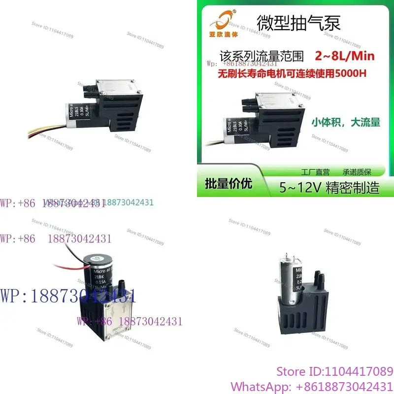 Micro Gas Sampling Diaphragm Pump Adjustable Positive and Negative Pressure Vacuum Laboratory Gas Analysis Pump