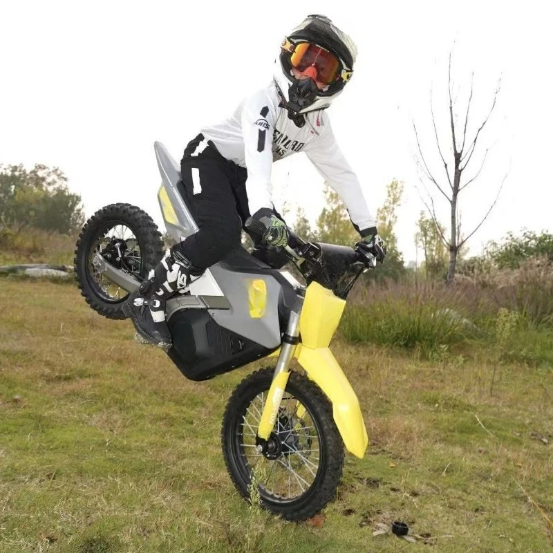 Off-road city outdoor forest road version electric bicycle 48v23a men's and women's mountain climbing small model