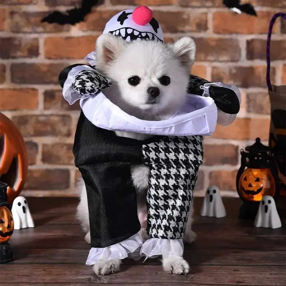 

Creative Puppy Halloween Coat Funny Polyester Pet Transformation Outfit Comical Outfits Dog Cosplay Dog Cosplay Costume XJ250813