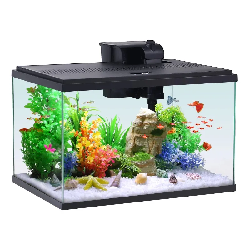 

10-Gallon Glass Aquarium Starter Kit