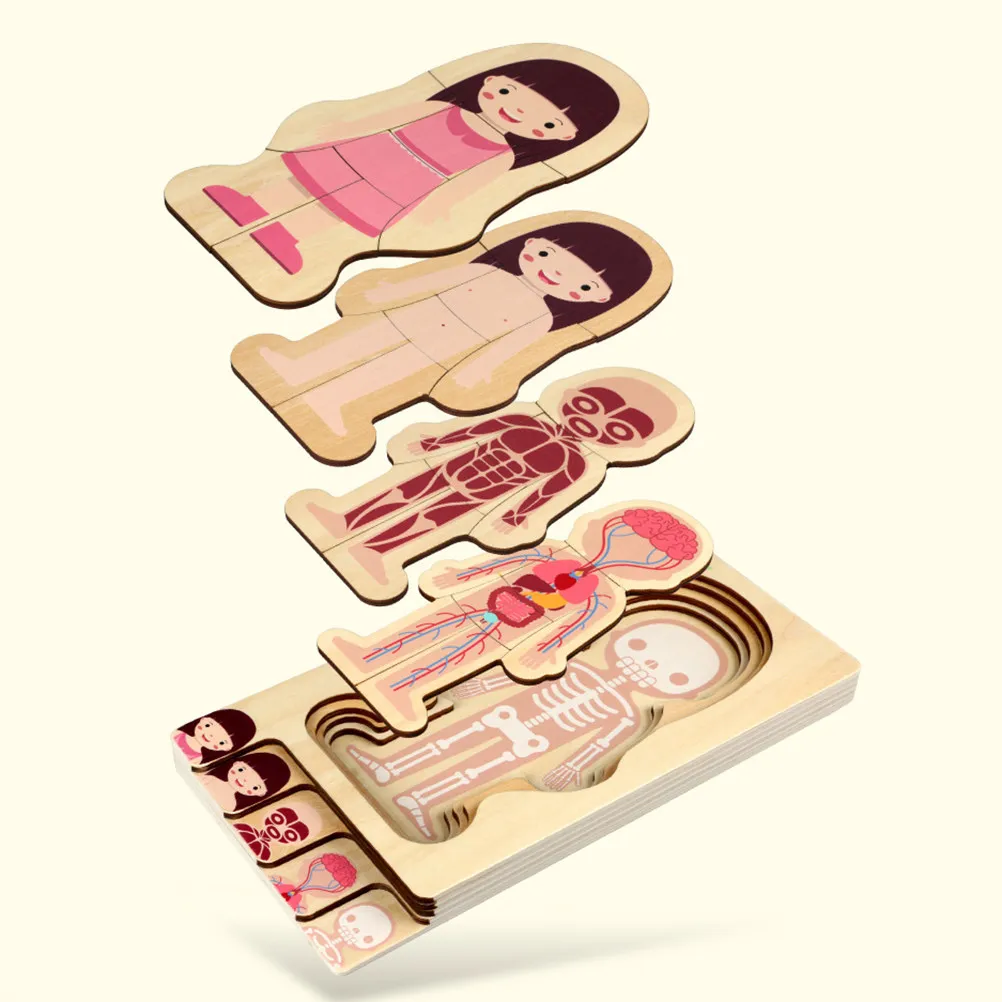 1Pcs Body Constitution Puzzle Wooden Educational Multilayer Puzzle Promote Cognition Muscle Exercise Hand Eye Coordination