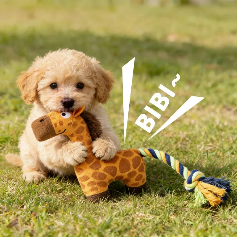Juguete de Cuerda con Forma de - Indestructible Dog Chew Toy reseña y precio