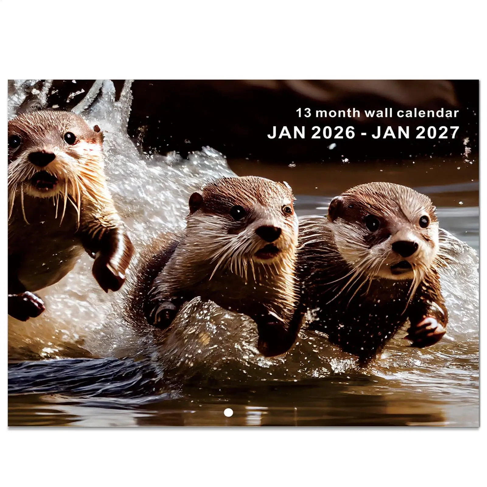 Calendario da parete gennaio 2026-2027 Anti spurgo inchiostro Pianificatore personale 13 mesi Calendario da parete gennaio 2026 con date Julian per la casa