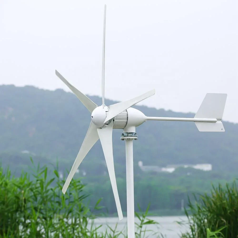 48v 5 Blades 1 kw Wind Turbine with Factory Price