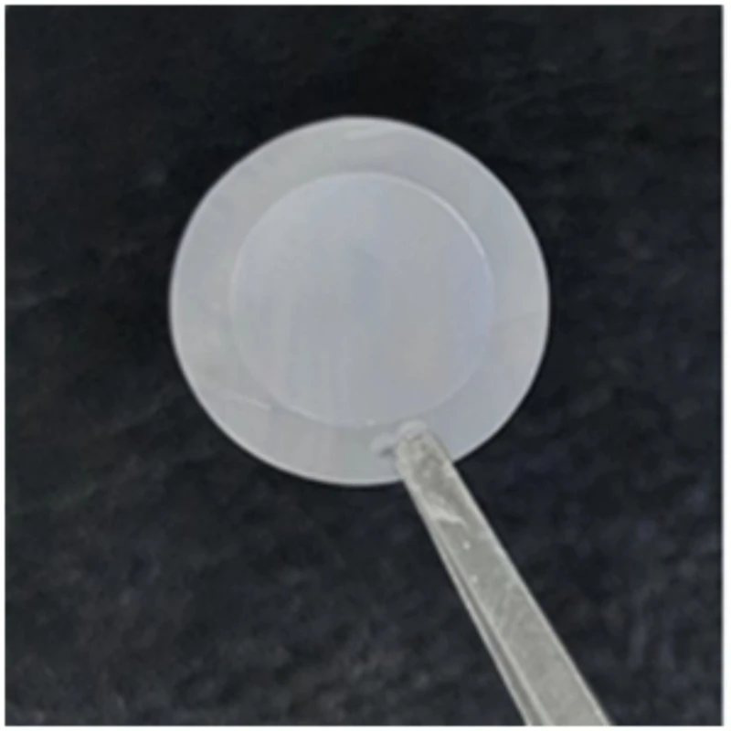 Micron pore organic filter membrane, high-end fine filtration, cell filtration, micron particle filtration, diameter 13mm