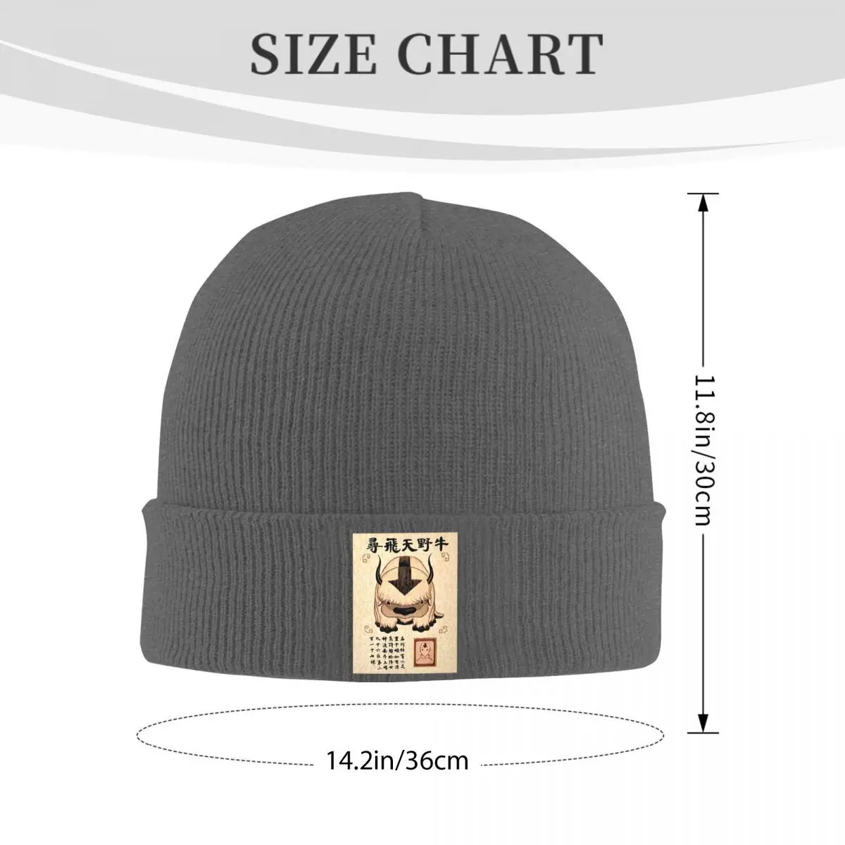 Avatar The Last Airbender Lost Appa Poster Warm Knitted Cap Fashion Bonnet Hat Autumn Winter Beanies Hats for Men Women Adult