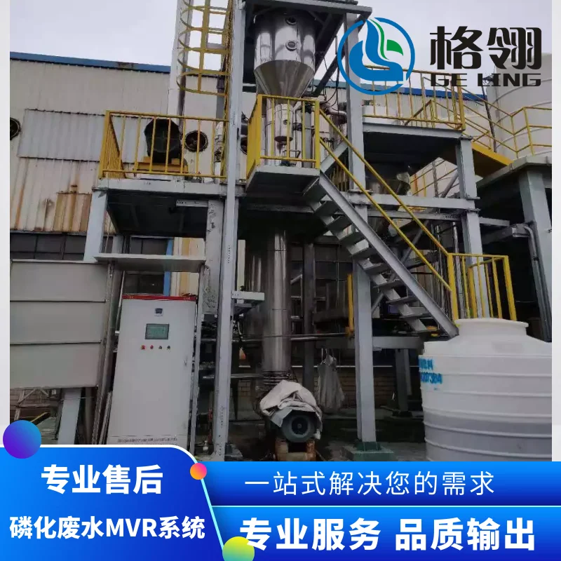 Pianta per la produzione di sale d'acqua salamoia MVR Cristalizzatore evaporativo a circolazione forzata