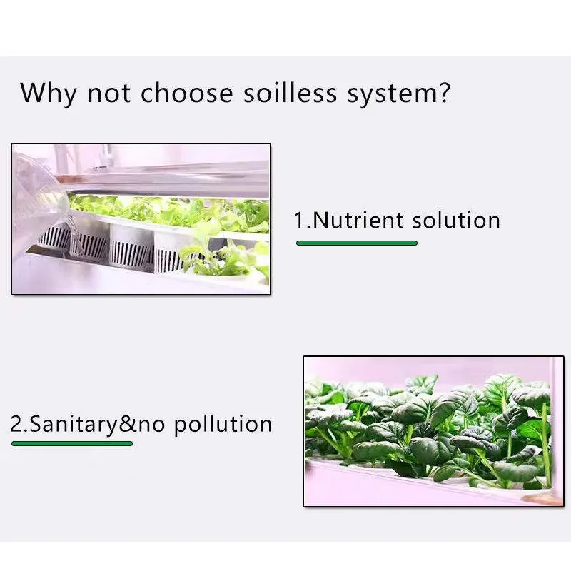 120 فتحة معدات الزراعة المائية للري نظام زراعة المائية للحديقة الداخلية الذكية لزراعة أوراق الخضروات