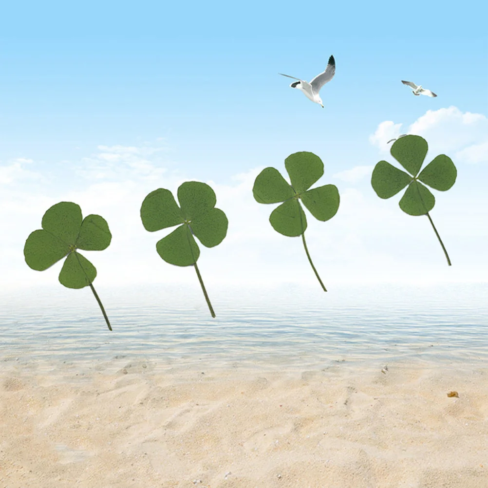 12 Pcs Four Leaf St Patricks Day Party Decoration Dried Plants for Jewelry