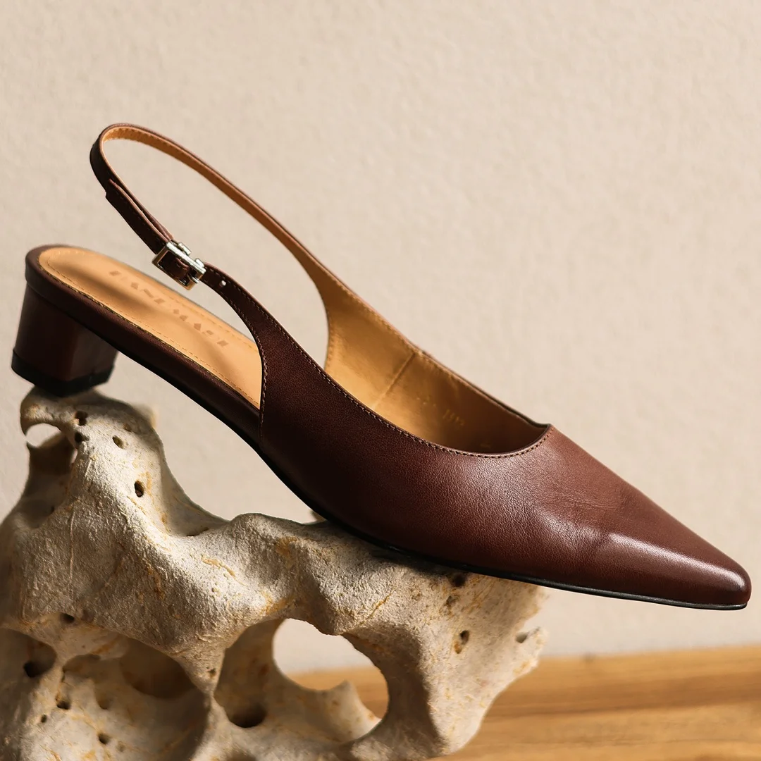 Женские туфли-лодочки Danxuefei больших размеров (34-42) из натуральной кожи с острым носком, на каблуке 3 см, элегантные повседневные туфли-слингбэки для офиса