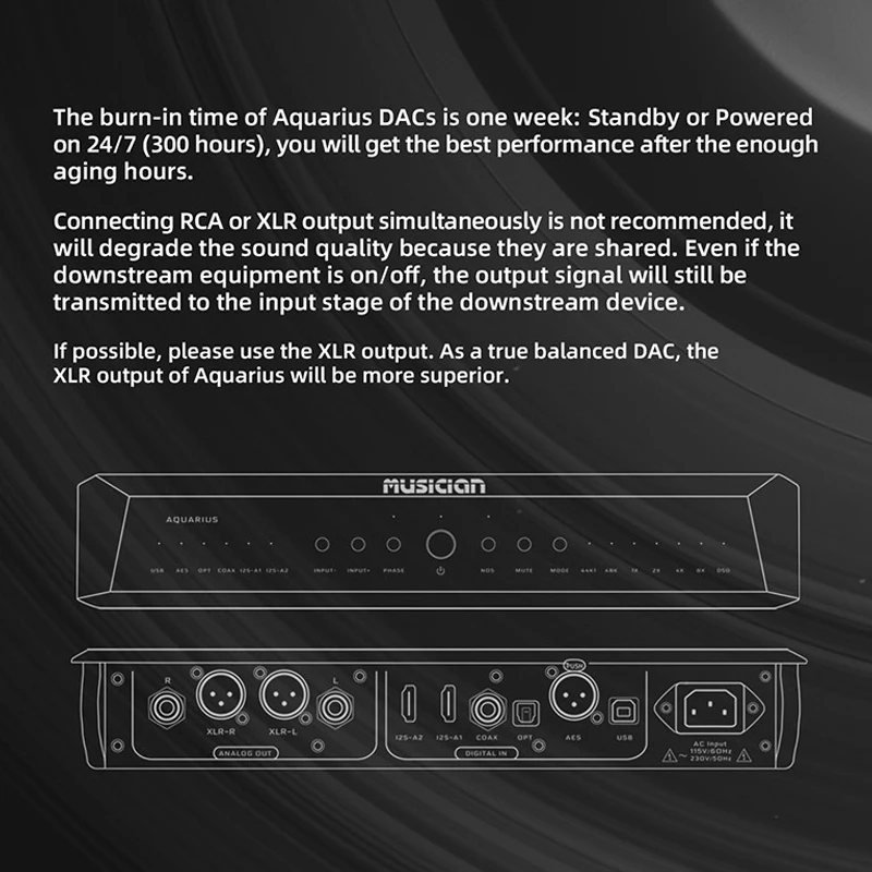 Músico-Aquarius R2R USB DAC Array Ture Balance, Entrada coaxial, Saída RCA XLR, Decodificador R2R, USB, 2 * I2S AES