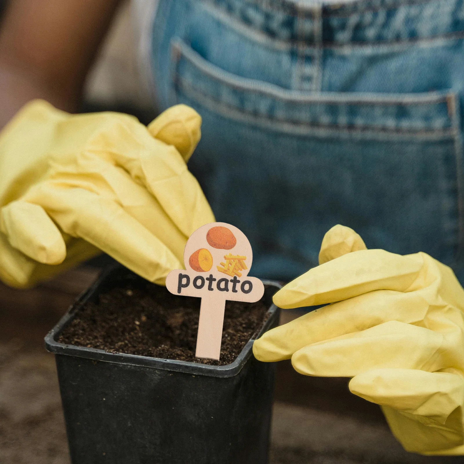 

10pcs Wooden Plant Labels: Natural Garden Markers For Succulents Flowers Herbs Reusable Indoor Outdoor Vegetable Potting Balcony