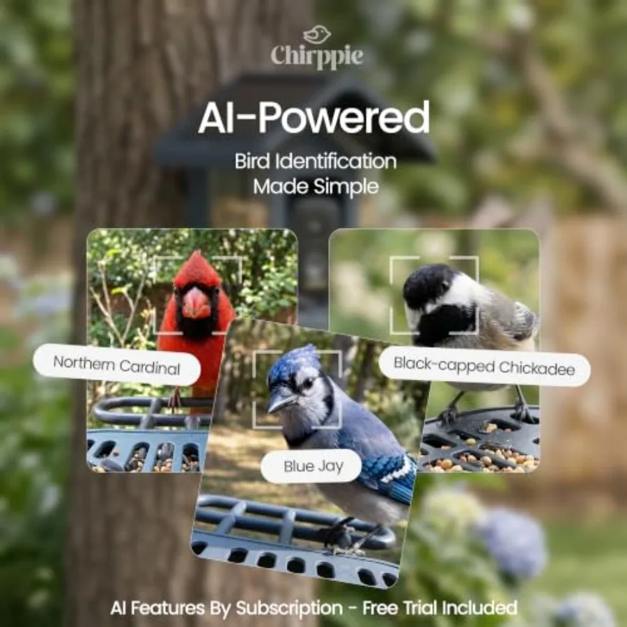 Solar Powered Smart Bird Feeder with Camera 2K HD Video, AI Bird Identification, Wireless 2.4 GHz WiFi Outdoor Birdhouse Camera