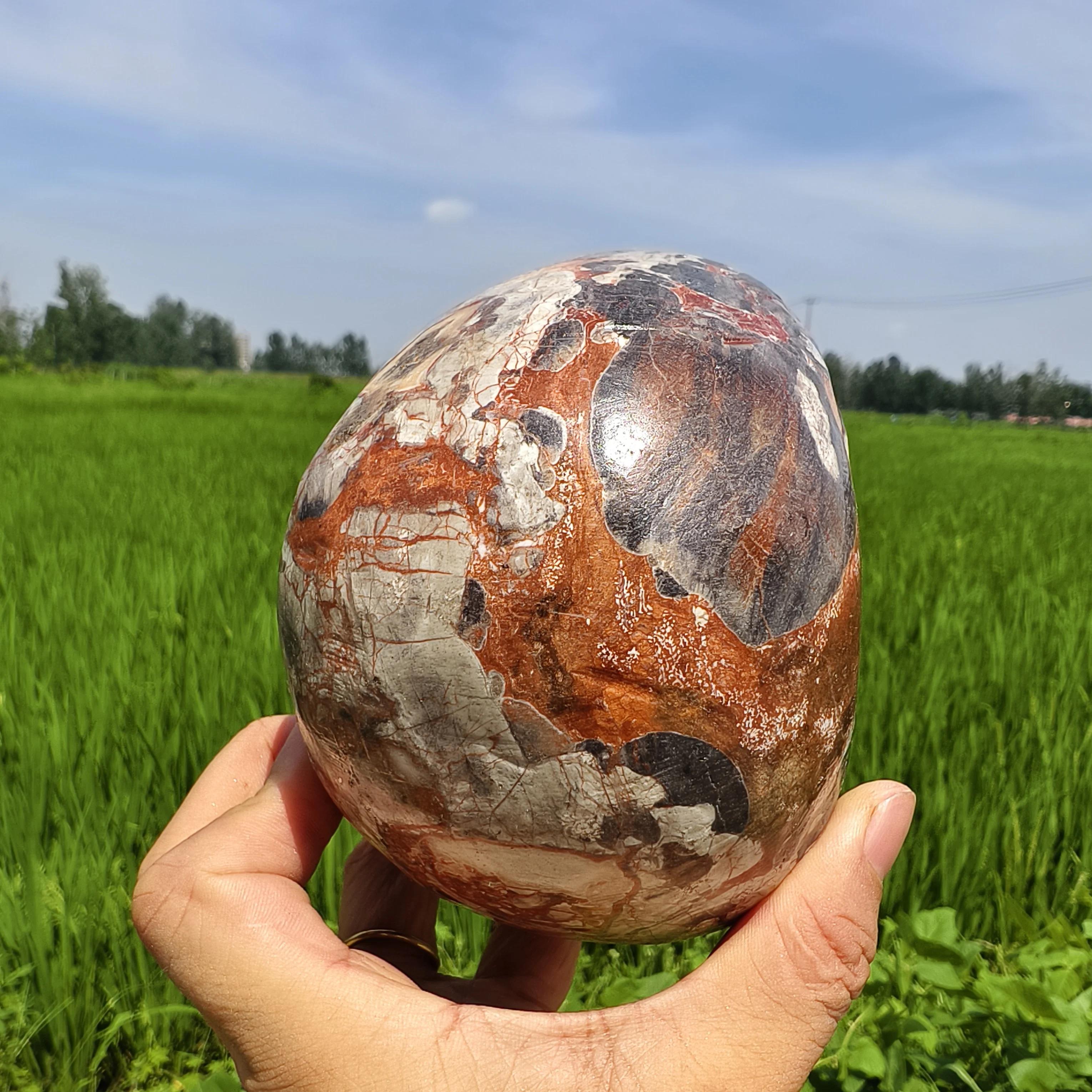 Natural Money Agate Skull, Quartz Crystal Money Agate Raw Ore Handcrafted Carved Skull Head, Mineral Healing