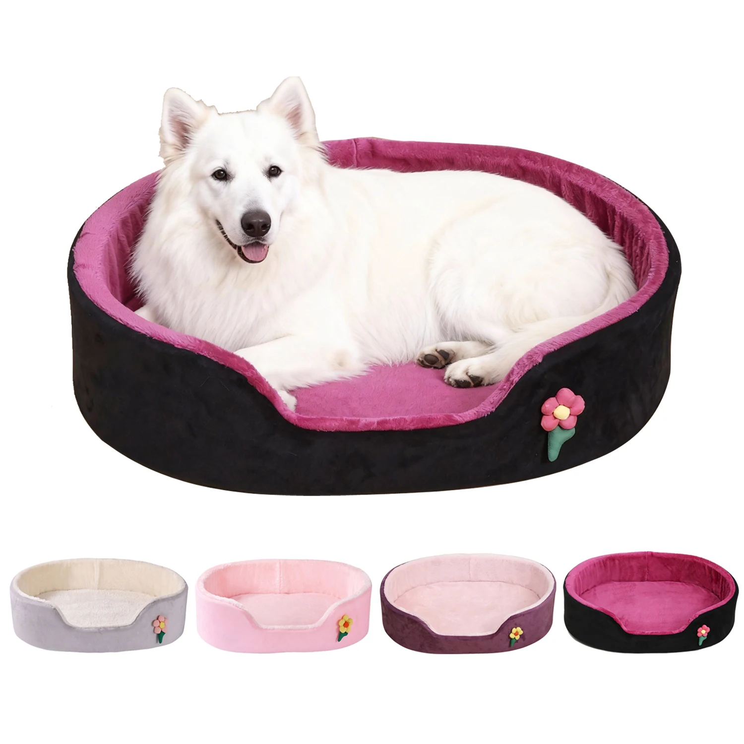 #20 Latest Dog Kennels & Runs Offers