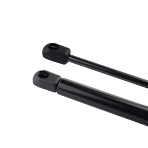 Heck Gepäckstiefel, Gasunterstützung, Citroen C3, MK1, 02-09, 8731.g3 6 Hauptverkäufe Cumpelier Citroen C3 - №3