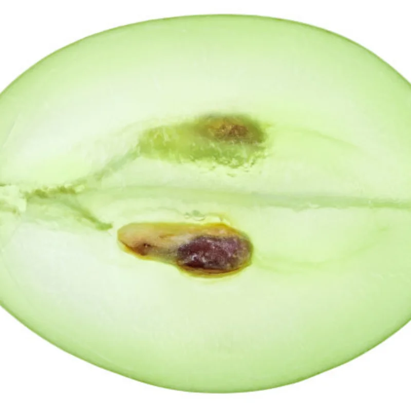 

Wltoys 144001 for wltoys 1:14 144001 RC Car Upgrade Parts Metal Steering Swing Arm Base C Rear Hub Seat Shock Absorber