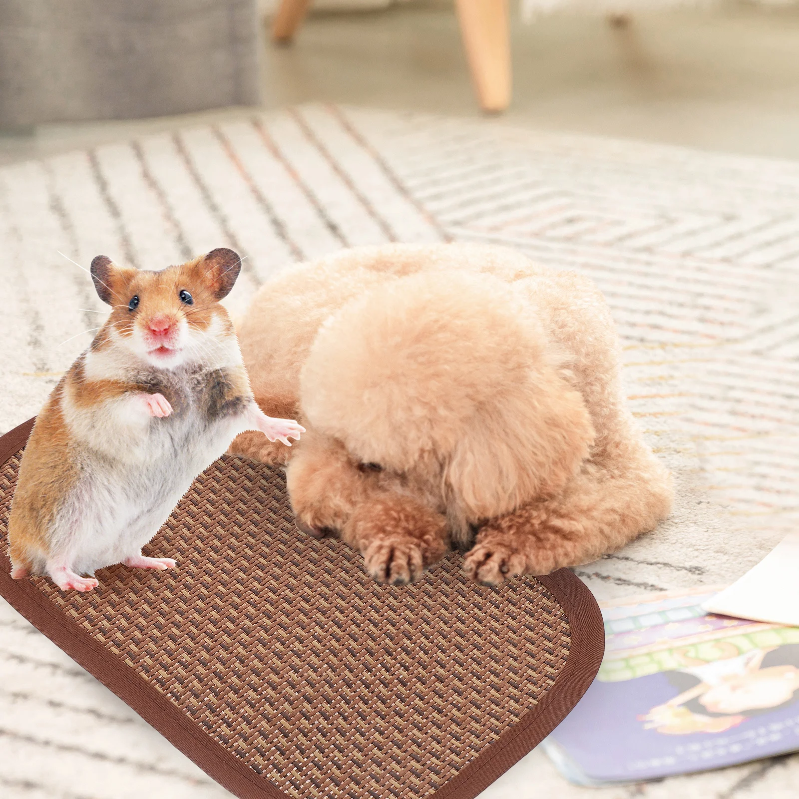 

Rabbit Summer Cooling Pad Breathable Pet Cooling Mat Hamster Guinea Pig Small Pets Sleeping Cushion Small Hamster Bed