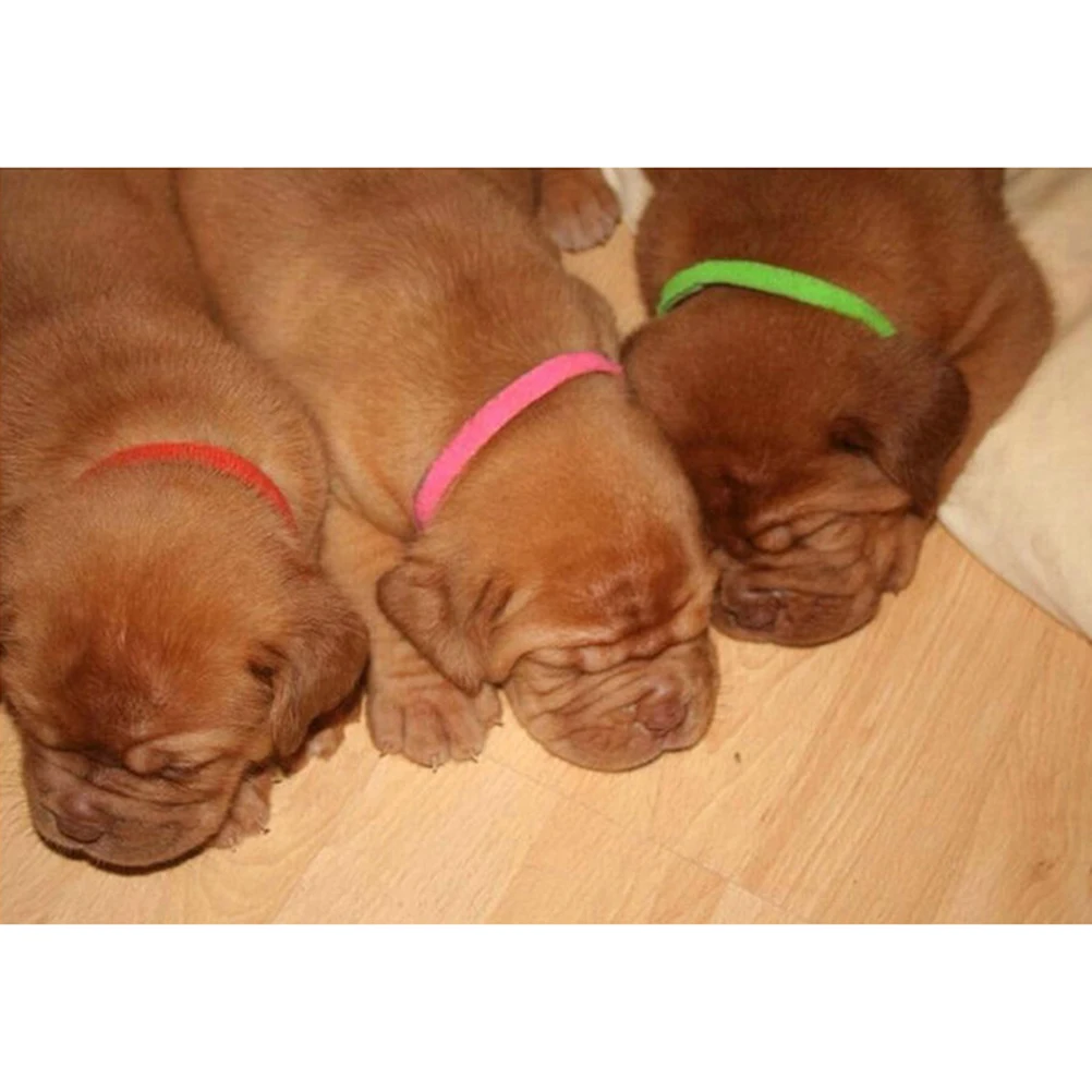 

12pcs 12 Different Colors Touch Collar Durable Nylon Pet Dog Cat Christmas Snow Pattern Fashionable Printed Collar For