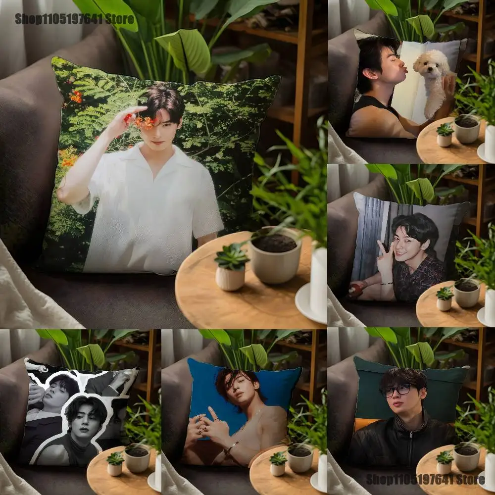 

Singer Cha E-Eun WooES Pillow Case For Sofa Decor Car Office Room Printing Cushion Cover Decorations and Protector