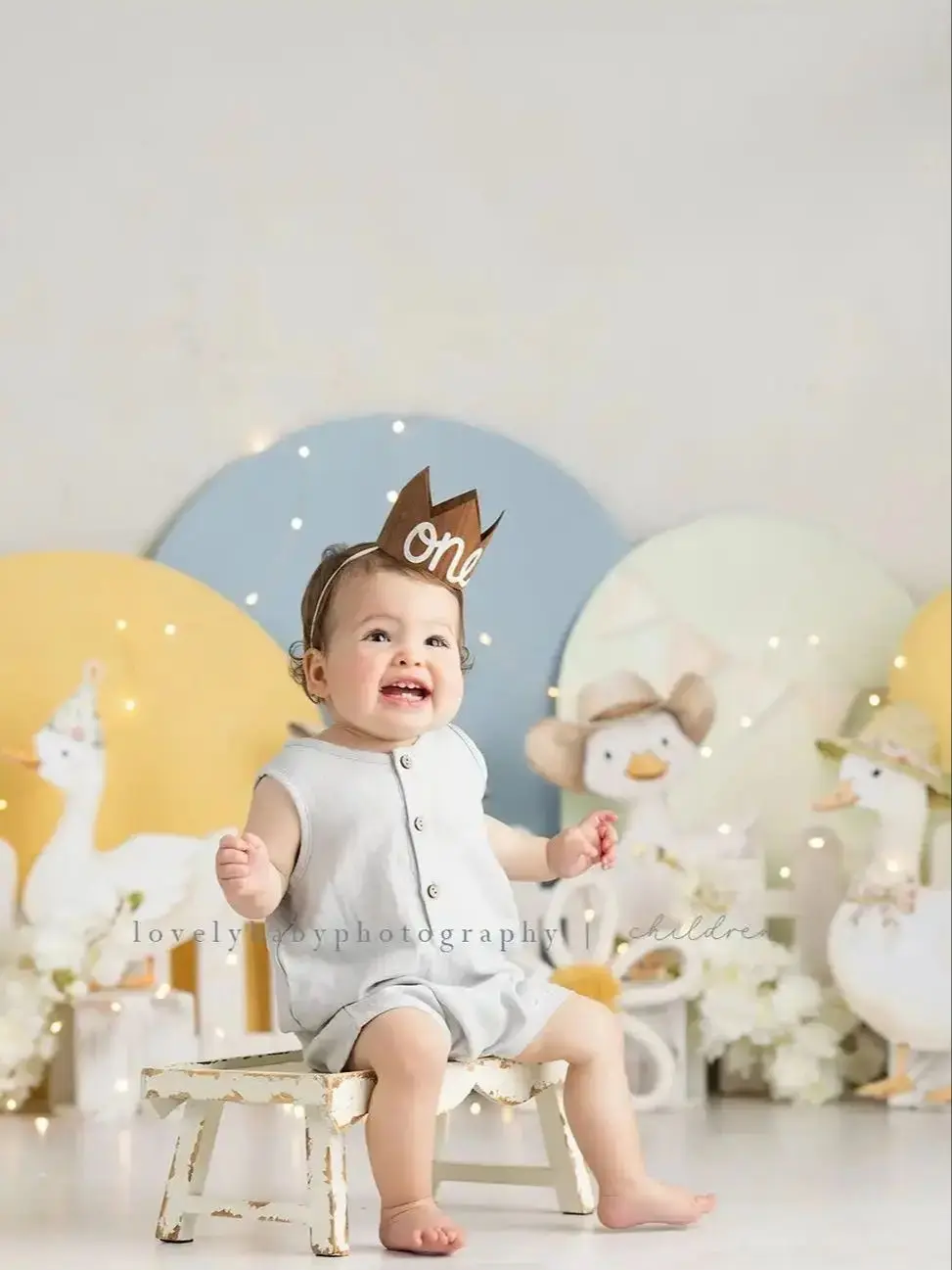 Urocza Głupia Gęś z Kwiatowymi Łukami Tła Dziecięce Baby Cake Smash 1 Roczek Rekwizyty Ogród Drewniany Płot Dekoracja Tło — zdjęcie produktu 7