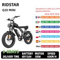 Ridstar Q20 Mini Electric Bike 1000W Motor 48V 15AH Battery 20*4.0 Inch Wide Tire Electric Bike LCD Display Adult Electric Bike