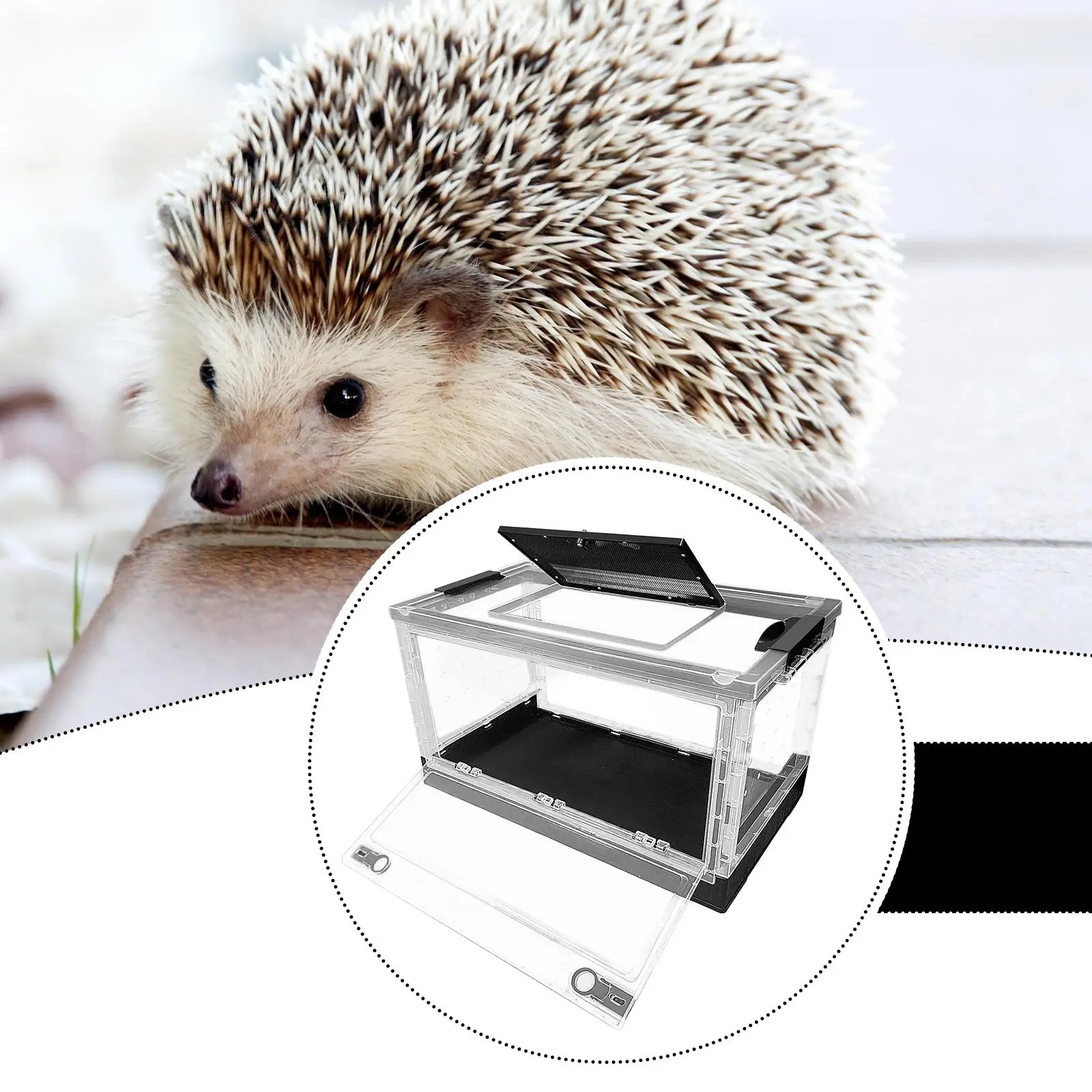 boite-d'alimentation-pour-reptiles-cage-d'habitat-pour-animaux-terrarium-pour-reptiles-tortue-conteneur-de-transport-pour-serpent-tarantin-scorpion