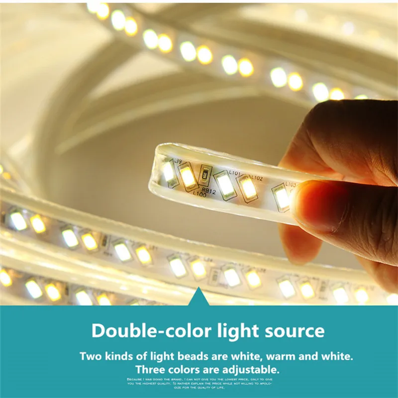 1M-15M 220V Zigbee Smart life Controller Dimmer SMD5050 White+Warm white CCT LED Strip Lights Outdoor Light for 2MQTT Tuya Alexa