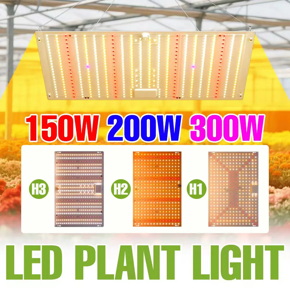 350 واط LED تنمو ضوء الطيف الكامل الكم مجلس النبات مصباح الأشعة فوق البنفسجية الأشعة تحت الحمراء للزهور الداخلية الدفيئة خيمة الطماطم الخضروات الولايات المتحدة/الاتحاد الأوروبي التوصيل
