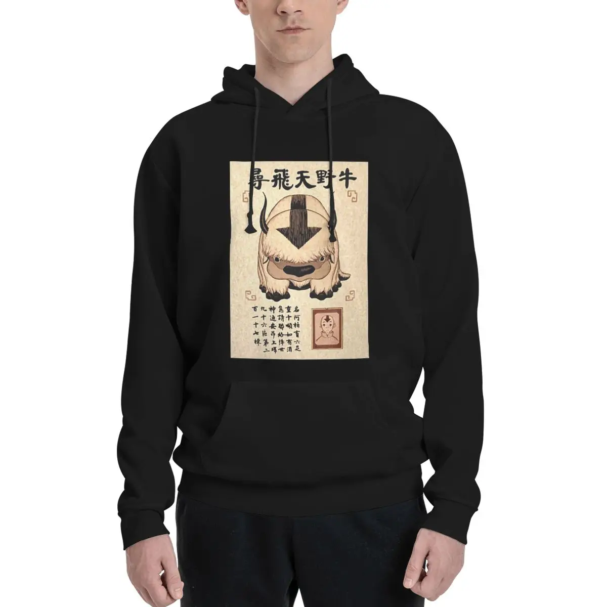 Avatar The Last Airbender Lost Appa Poster Hoodies Men's Women Pullover Sweatshirt Fashion Long Sleeve Clothing Autumn Winter