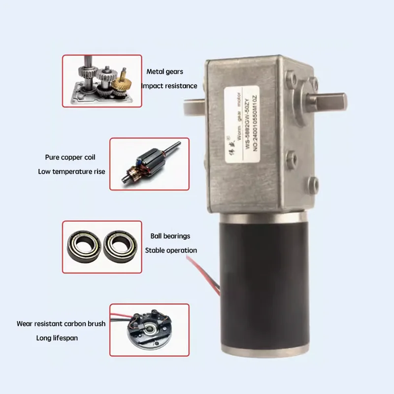 5882-50zy Double Shaft Worm Gear Motor Brushed Speed 1.5rpm~295rpm For Stir-fry Machine  12v24v Forward And Reverse Adjustable