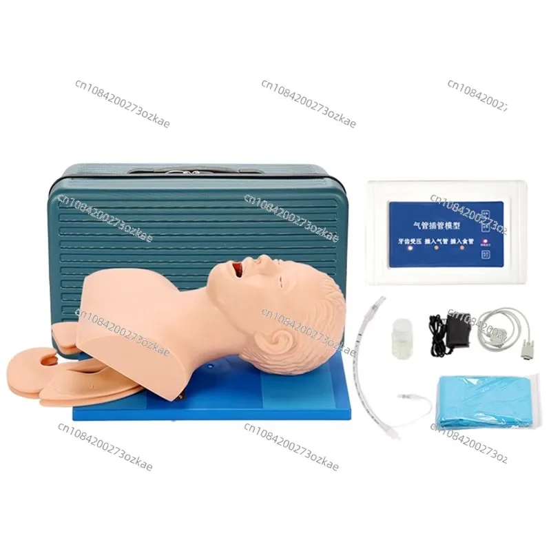 Intubation Manikin Study Teaching Model Adult Airway Emergency Medical Nursing Training Model