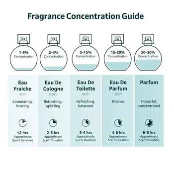 10 最佳銷售 桑塔爾 - №1