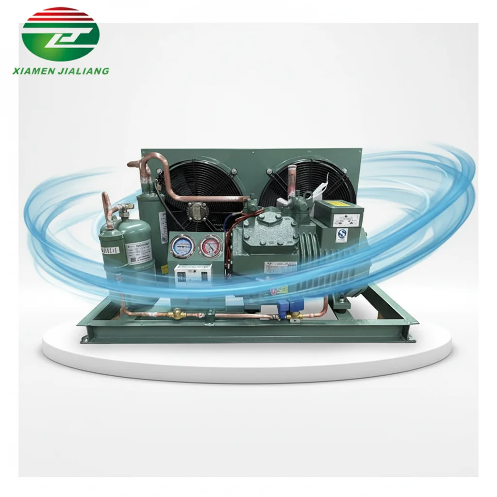 

Walk in Freezer Condensing Unit With Evaporators for Sale 2hp 3hp 4hp 5hp