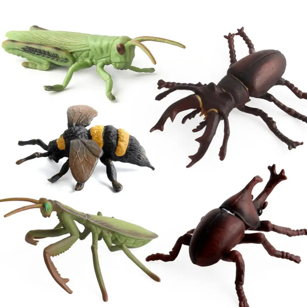 Hot Insect Animals Model Butterfly Lizard Cricket Spider Bee Action Figures Mantis Figurine Miniature Educational Kids Toys Gift