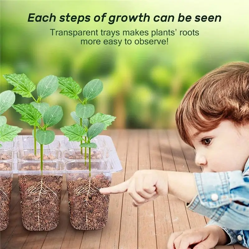PZHI Seed for Starter Tray Kit with Humidity Dome, 5-Pack Plant for Starter Kit for Seedlings, 12 Cells Per Tray, Green