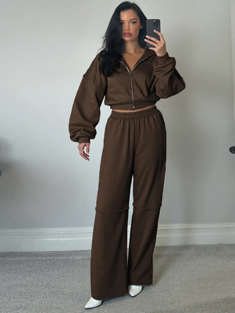 Estranho gato casual agasalho feminino 2 peça conjunto painéis listras desportivo simples hipster com capuz zip jaqueta + calças largas combinando ternos
