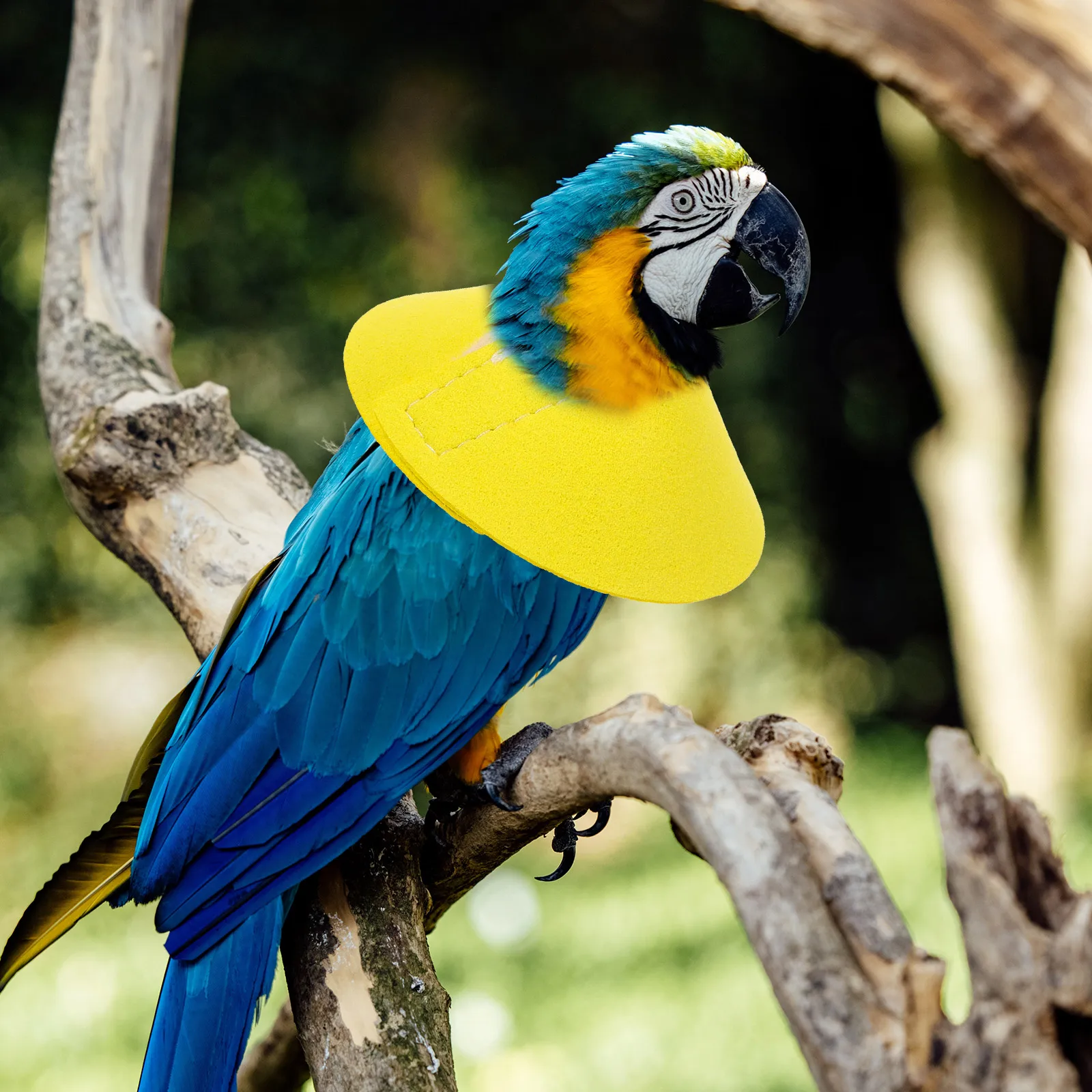

Anti-biting Collar Bird Recovery Pet Birds Protective Collars Cone Neck Parrot Cones