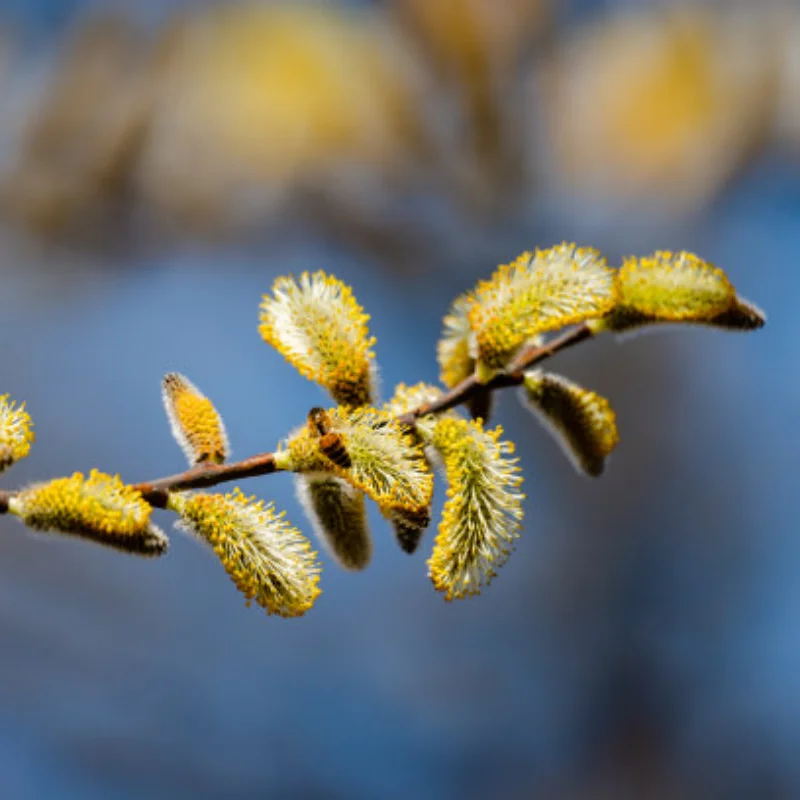 

4 шт. 100 мм 1/7 1/8 RC шины для раллийных внедорожных багги с колесами и шестигранным креплением 17 мм для радиоуправляемых моделей ARRMA Trxs, Redcat, Team Losi, Kyosho, HPI, WR8, HSP