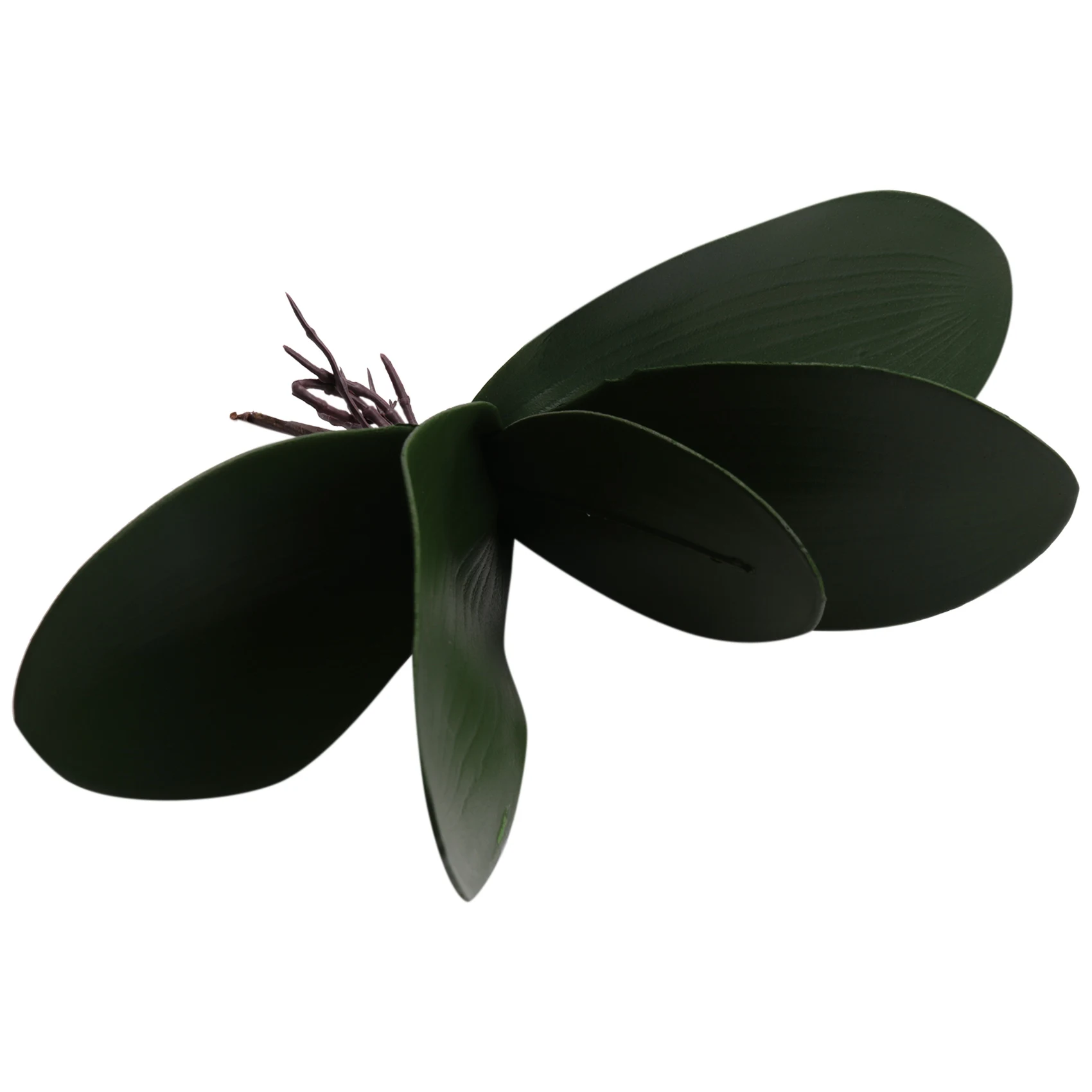 

ROSQ Phalaenopsis Orchids Leaves Artificial Real Looking Roots Latex Contact Plants Green Faux Leaf Arrangement,6 PCS