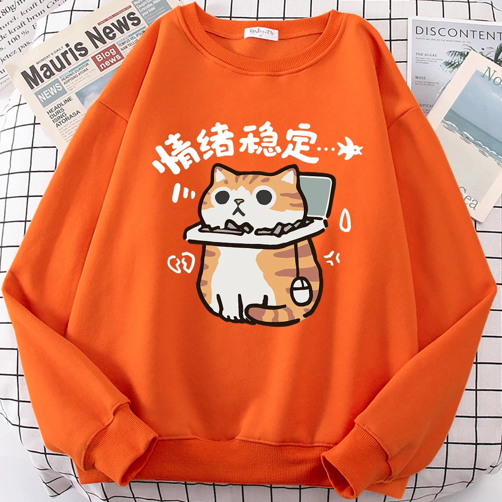 Emotional Stability Fun Cat Cute Print Cartoons Men Women Hoody Casual Comfortable Hoodie Fashion Loose Sweatshirt Clothing