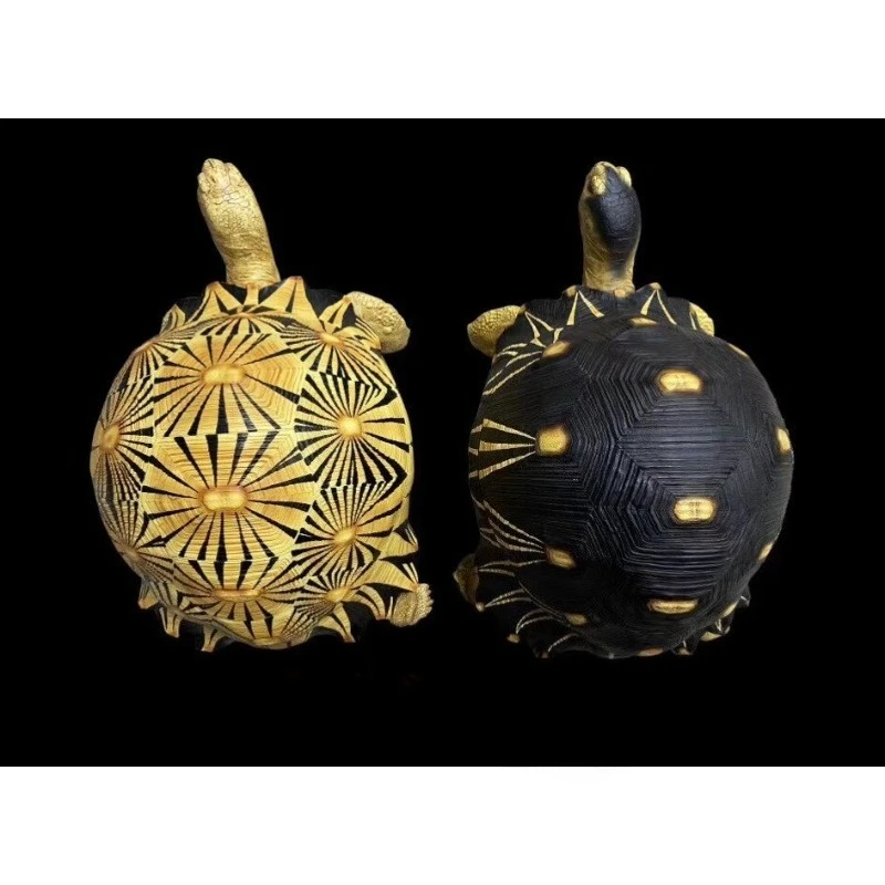 Full flower radiation black radiation tortoise model climbing pet model tortoise figure tortoise realistic