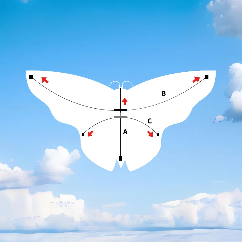 Rainbow Butterfly Kite Een kleurrijk vliegavontuur voor buiten