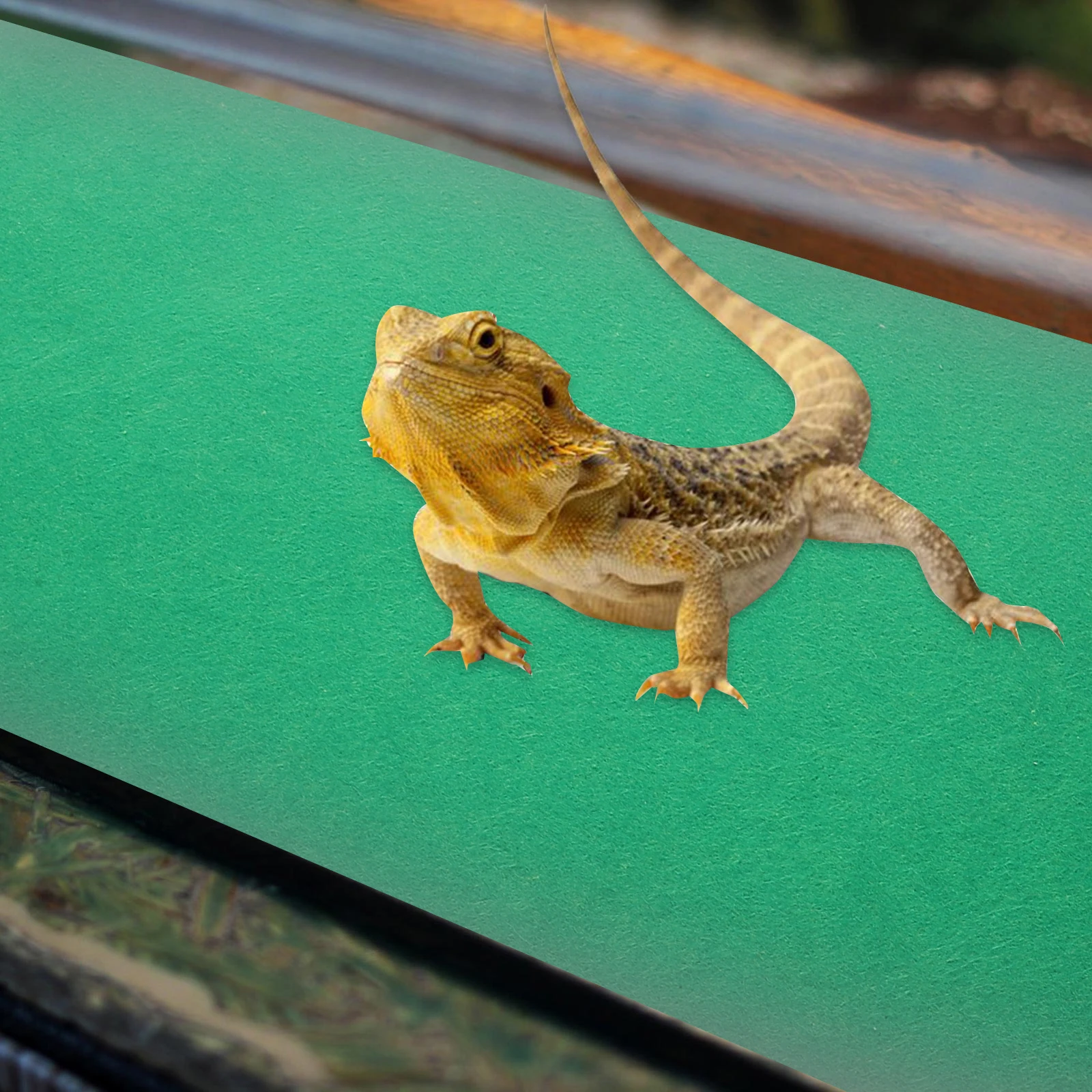 

Reptile Mat 60x40cm Absorbent Coconut Fiber Tortoise Carpet Anti Reptile Supplies Lizard Rug Tortoise Carpet