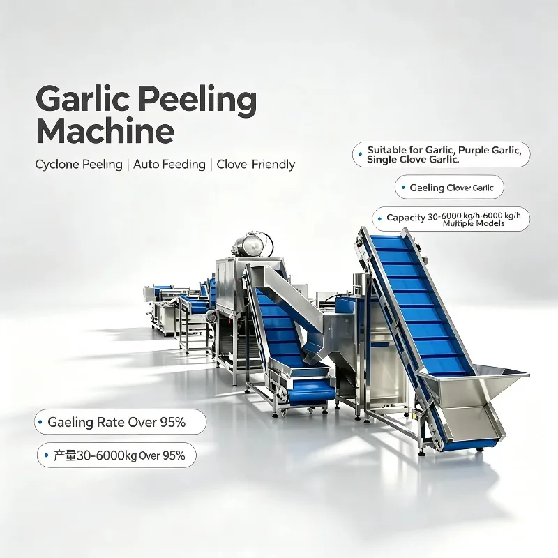 Customized Compressed Air Garlic Peeling Technology Garlic Processing Plant No Water Pollution
