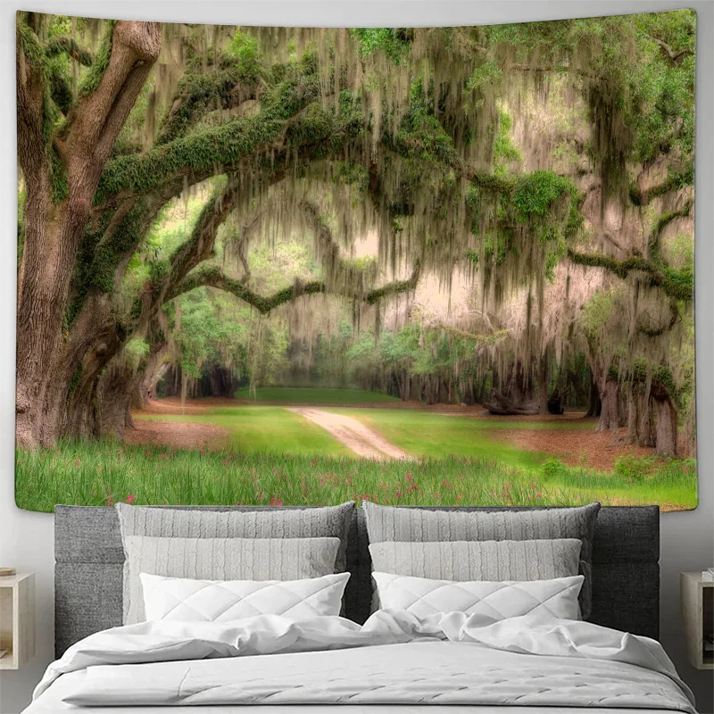 Mystical Southern Oak Forest with Spanish Moss and Dirt Path Tapestry Machine Washable All Season Decor Home Living Room Bedroom