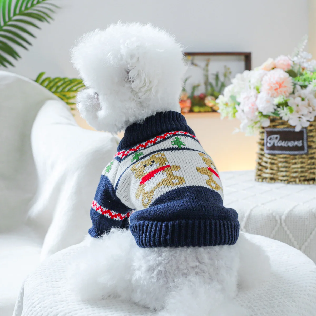 1PC pet clothing dog spring and autumn set of forest bear sweater suitable for small and medium -sized dogs