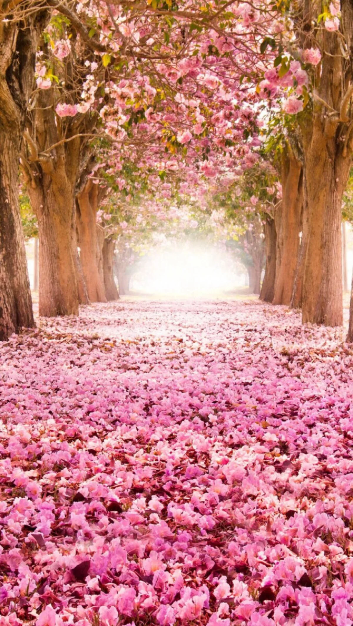 

4PCS 1/8 Wheels Tires 170mm Tyre Weel 17mm Hex Hub Rubber Sponge for 1/8 RC Car Monster Truck Buggy