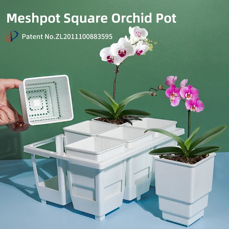 Meshpot Quadratischer Topf mit hoher Taille, Kunststoff, quadratisch, saftig, Kindergarten, Sämling, Orchideentopf, Pflanzgefäß, Behälter, Pflanzenbecher für Lophophora – Detail 1