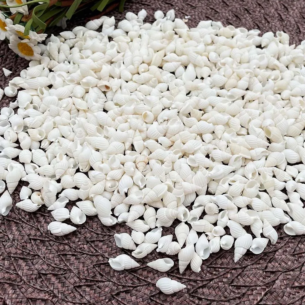 About 100pcs Natural White Beach Sea Shell BeadsTrumpet Spiral Seashells for DIY Craft Jewelry Making Wedding Party Home Decor